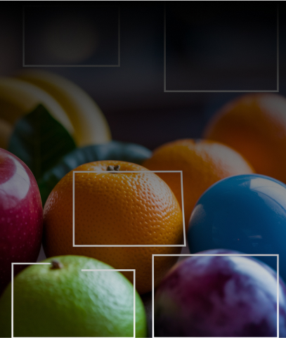 Image Annotation